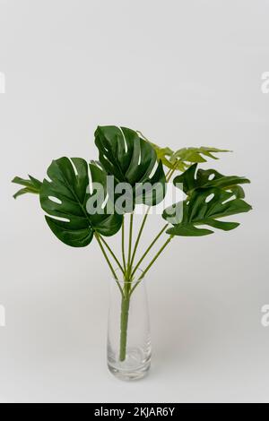 Künstliche Monsterblätter in einem Glasbecher auf weißem Hintergrund Stockfoto