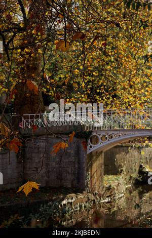 Herbst in Sydney Gardens Bath Stockfoto