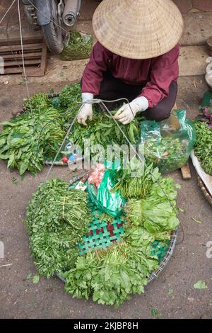 Verkäufer, der frische Kräuter auf dem Straßenmarkt in Hanoi Vietnam verkauft Stockfoto