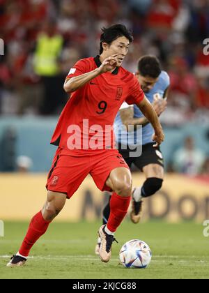 DOHA - GUE-sung Cho der Republik Korea während des FIFA-Weltmeisterschafts-Katar-2022-Spiels Gruppe H zwischen Uruguay und Südkorea im Education City Stadium am 24. November 2022 in Doha, Katar. AP | niederländische Höhe | MAURICE OF STONE Credit: ANP/Alamy Live News Stockfoto