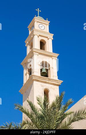 Peterskirche Glockenturm eingerahmt durch Phoenix daktylifera - Dattelpalmen, Jaffa, Israel. Stockfoto