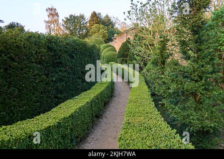 Hecken entlang des Weges am Labyrinth im Bridge End Garden in Saffron Walden Stockfoto