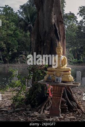 Goldene Buddha-Statue in meditativer Haltung unter Big Tree Hintergrund. Platz für Text, selektiver Fokus. Stockfoto