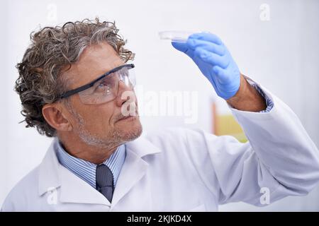 Was könnte das bedeuten? Eine abgeschnittene Aufnahme eines erfahrenen Wissenschaftlers, der eine Petrischale in seinem Labor beobachtet. Stockfoto