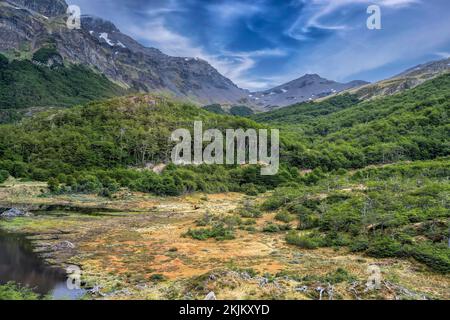 Moor und Wald- und Berglandschaft Ushuaia Argentinien Stockfoto