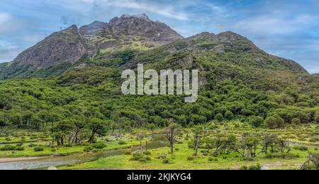 Moor und Wald- und Berglandschaft Ushuaia Argentinien Stockfoto