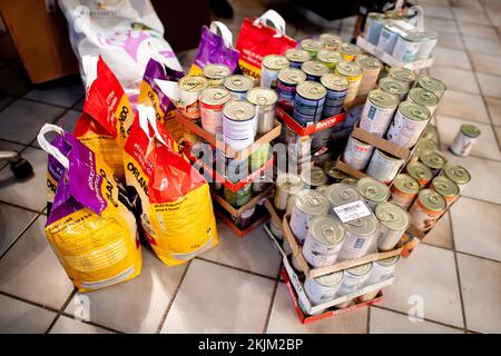 Bremen, Deutschland. 18.. November 2022. Zahlreiche Lebensmittelspenden auf dem Gelände der Bremer Tiertafel während des Vertriebs. Die Zahl der bedürftigen Haustierbesitzer und die Nachfrage nach Heimtierfutter und Sachspenden sind in diesem Jahr stark gestiegen. (An dpa: "Nachfragesteigerungen in Tiertafeln in Niedersachsen und Bremen") Kredit: Hauke-Christian Dittrich/dpa/Alamy Live News Stockfoto