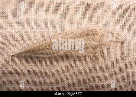 Ein separates trockenes Blatt der Herbstzeit Stockfoto