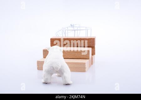 Der Eisbär ist auf den Bullding Blocks auf weißem Bakkfeld Stockfoto