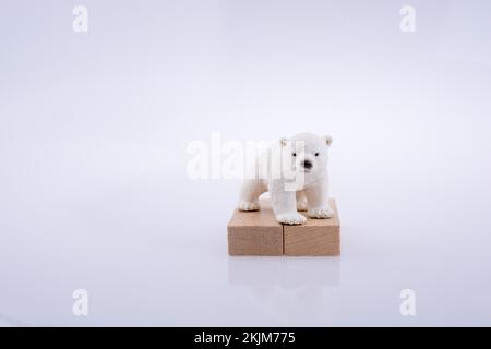 Der Eisbär ist auf den Bullding Blocks auf weißem Bakkfeld Stockfoto