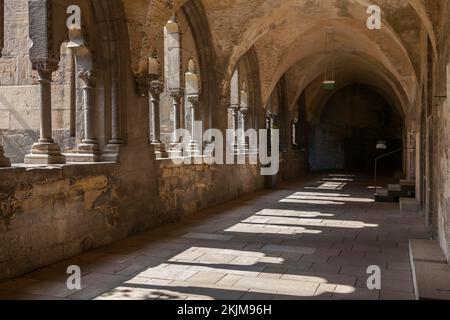 Halberstadt Cathedral St. Stephen und St. Sixtus, gotische Basilika, Kloster, Halberstadt, Sachsen-Anhalt, Deutschland, Europa Stockfoto