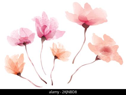Set von botanischen Elementen, die auf weißem Hintergrund isoliert sind. Vektordarstellung. Stock Vektor