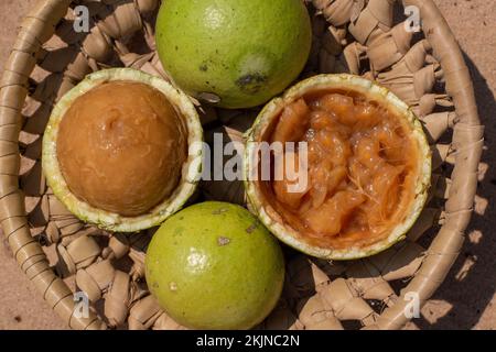 Reife Früchte des Strauchnos spinosa-Baums, auch bekannt als Natalorange oder Affenorange Stockfoto