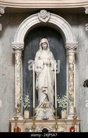 Altar der Barmherzigkeit in der Pfarrkirche des Heiligen Vitus und Modestus in Groznjan, Kroatien Stockfoto