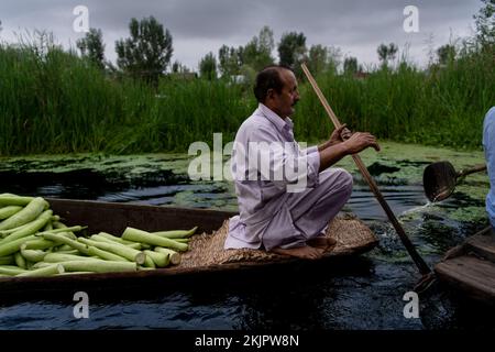 Indien, Srinagar, 2022-07-29. Ein Mann rudert sein Boot auf dem schwimmenden Markt von Srinagar, um sein Gemüse zu verkaufen. Foto von Alexander BEE/Hans Lucas. Stockfoto