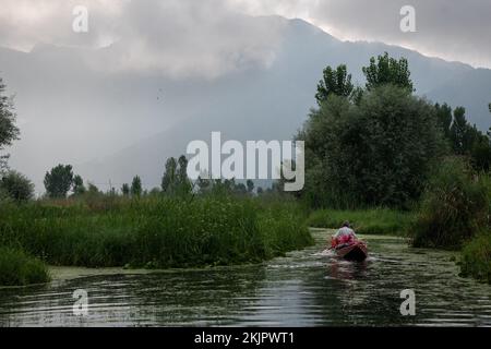 Indien, Srinagar, 2022-07-29. Ein Mann rudert sein Boot auf dem schwimmenden Markt von Srinagar, um sein Gemüse zu verkaufen. Foto von Alexander BEE/Hans Lucas. Stockfoto