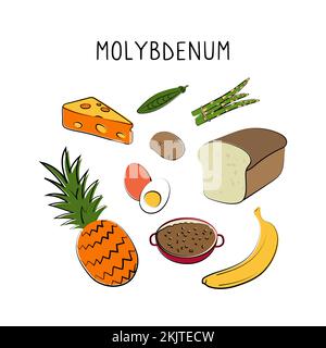 Molybdän-haltige Lebensmittel. Gruppen von gesunden Lebensmitteln mit Vitaminen und Mineralstoffen. Set aus Obst, Gemüse, Fleisch, Fisch und Milchprodukten Stock Vektor