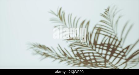Schatten von Palmenblättern auf grauem Wandhintergrund. Schatten tropischer Palmen- oder Farnblätter auf weißem Hintergrund. Trendiger Style für Design. Speicherplatz kopieren Stockfoto