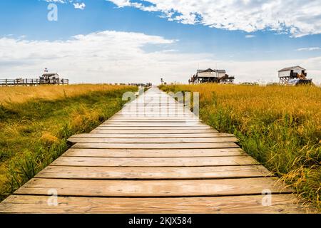 Strandpfad an der Nordsee Stockfoto