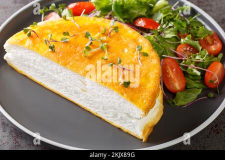 Gesundes Diät-Omelett, Poulard-Omelette auf der Platte auf dem dunklen Hintergrund. Horizontal Stockfoto