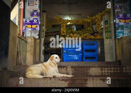 Indisches Straßenleben in Mysore, 17. September 2022. Stockfoto