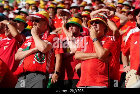 Wales-Fans schauen während des FIFA-Weltmeisterschaftsspiels Gruppe B im Ahmad bin Ali Stadium, Al-Rayyan, von der Tribüne aus zu. Foto: Freitag, 25. November 2022. Stockfoto