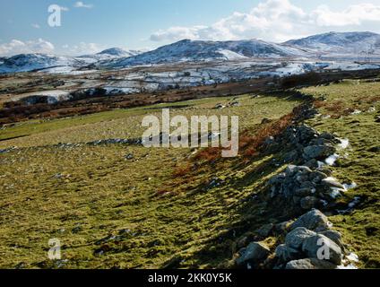 Sehen Sie SSW der terrassenförmigen Felder aus der Eisenzeit NE von Maen y Bardd Dolmen auf den südlichen Hängen von Tal y Fan über dem Tale of Conwy, North Wales, Großbritannien. Stockfoto