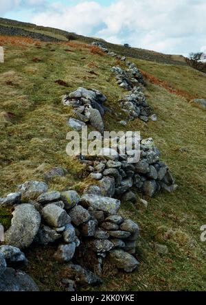 Blick NE von lynchet Rampen auf die Eisenzeit terrassierten Feldern NE von Maen y Bardd Dolmen auf dem SE-Pisten der Tal y Ventilator über dem Tal von Conwy, North Wales, UK. Stockfoto