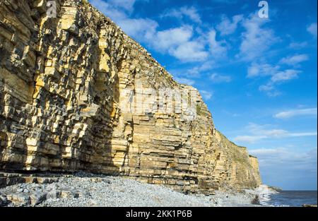 Die Kalksteinklippen, die östlich vom Hauptstrand von Llantwit an der Glamorgan Heritage Coast, Südwales, liegen Stockfoto