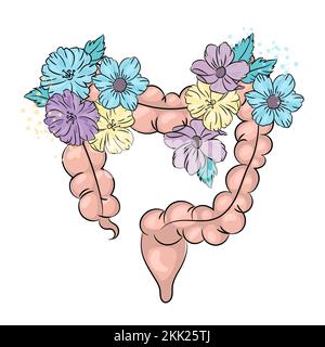 GESUNDE DÄRME Medizin menschliche Gesundheit Lebensstil Urlaub Blumenvektor Illustration Set Stock Vektor