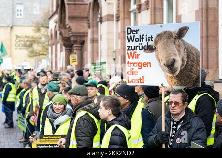 Goslar, Deutschland. 25.. November 2022. Ein Teilnehmer einer menschlichen Bauernkette in der Innenstadt von Goslar hält ein Schild mit der Aufschrift „der Wolf ist zurück – wir tragen die Last!“. Die Landwirte möchten ihre Situation mit verschiedenen Maßnahmen während der Konferenz der Umweltminister hervorheben. Kredit: Michael Matthey/dpa/Alamy Live News Stockfoto