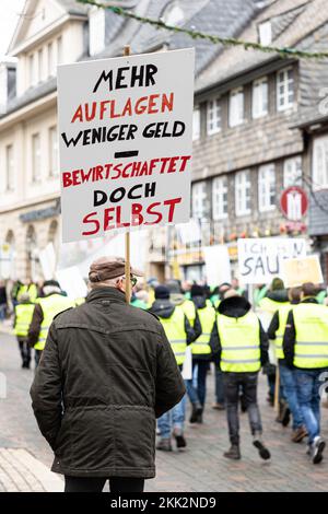 Goslar, Deutschland. 25.. November 2022. Ein Teilnehmer an einer Demonstration von Bauern in der Innenstadt von Goslar hält ein Schild mit der Aufschrift „Mehr Vorschriften, weniger Geld – Farm Yourself“. Die Landwirte möchten ihre Situation mit verschiedenen Maßnahmen während der Konferenz der Umweltminister hervorheben. Kredit: Michael Matthey/dpa/Alamy Live News Stockfoto