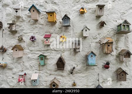 Umzug oder Haus eine große Auswahl an verschiedenen Arten von Vogelkästen für kleine Vögel an weiß getünchten Wänden bietet eine gute Wahl für Hausbesitzer Stockfoto