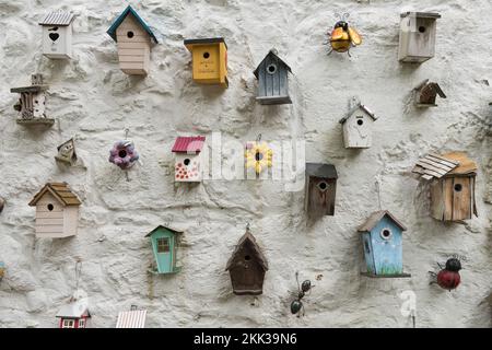 Umzug oder Haus eine große Auswahl an verschiedenen Arten von Vogelkästen für kleine Vögel an weiß getünchten Wänden bietet eine gute Wahl für Hausbesitzer Stockfoto