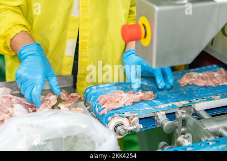 Hühnerfleisch auf Förderbändern passiert Röntgengerät für Metalldetektor bei modernem Geflügel. Stockfoto