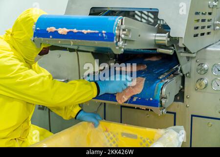 Hähnchenfleisch passiert Röntgengerät Scannen Metall oder Feststoff in modernem Geflügel. Stockfoto