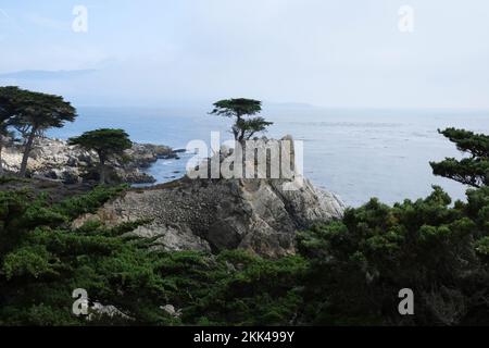Ein einsamer grüner Wacholderbaum auf der felsigen Klippe im kalifornischen Cypress Point mit grünen Bäumen und einer Meereslandschaft im Hintergrund Stockfoto