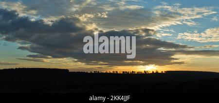 Dramatischen Blick auf Cherry Tree Slade am frühen Morgen auf Heide Hügel im Herbst Cannock Chase Gebiet von außergewöhnlicher natürlicher Schönheit Staffordshire Stockfoto