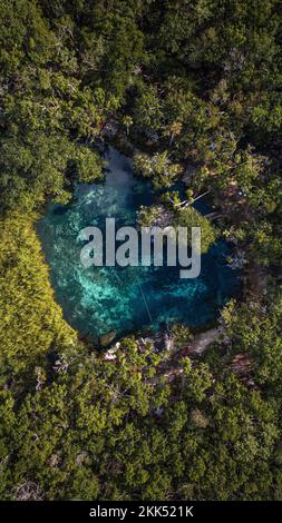 Das Herz des Cenote Paradise inmitten der Natur in Tulum, Mexiko. Romantisches Konzept inmitten der Natur. Klares Wasser Stockfoto