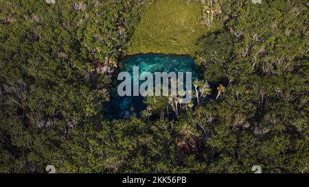 Das Herz des Cenote Paradise inmitten der Natur in Tulum, Mexiko. Romantisches Konzept inmitten der Natur. Klares Wasser Stockfoto