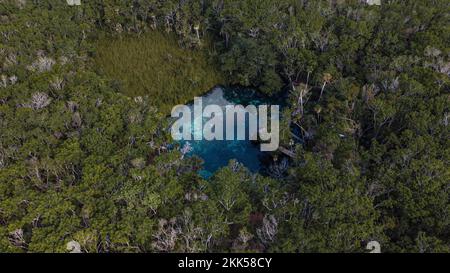 Das Herz des Cenote Paradise inmitten der Natur in Tulum, Mexiko. Romantisches Konzept inmitten der Natur. Klares Wasser Stockfoto