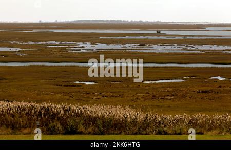 Blick vom Wallolps Island Visitor Center der NASA auf Jenneys gut und Chincoteague Island Stockfoto