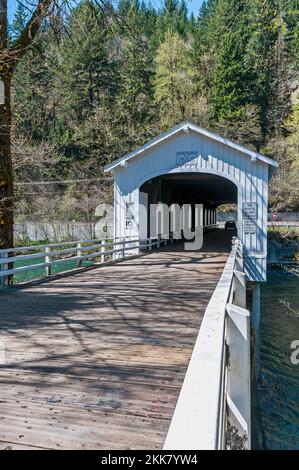 Goodpasture Covered Bridge am Highway 126, Lane County Parks an der Hendricks Park Rd in der Nähe von Springfield, Oregon. Zeigt das Innere der Brücke. Stockfoto