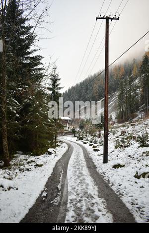 Einsame Straße im österreichischen Wald an einem bewölkten und schneebedeckten Tag Stockfoto