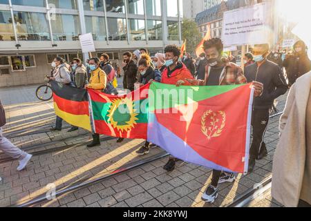 Frankfurt, Deutschland - 21,2020. November: Menschen demonstrieren für ein freies Äthiopien und ein Ende des Bürgerkrieges in tigray. Stockfoto