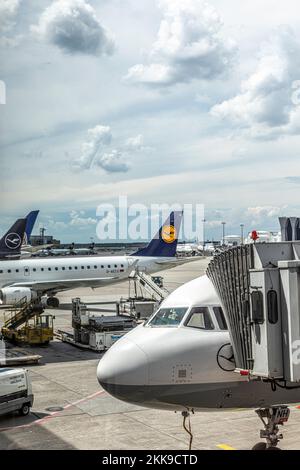 Frankfurt, Deutschland - 8. Juni 2020: Lufthansa-Flugzeuge am Boden bereit zum Boarding während der reduzierten Verkehrssituation aufgrund der Corona bei Frankfurt Air Stockfoto