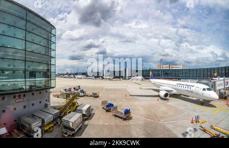 Frankfurt, Deutschland - 8. Juni 2020: lufthansa-Flugzeuge bleiben aufgrund der Schließung von Corona am Boarding-Finger am Frankfurter Flughafen. Stockfoto