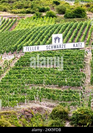 Zell, Deutschland - 25. Juli 2020: Panoramasicht auf die Weinberge mit der Marke Zeller schwarze Katze am Weinberg. Stockfoto