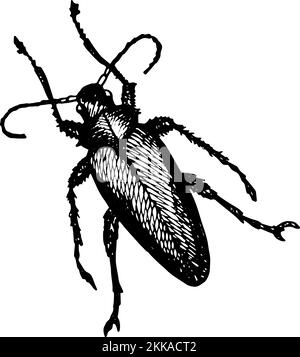 Longhorn Beetle Icon malte einen weißen Gelschreiber auf weißem Hintergrund Stock Vektor