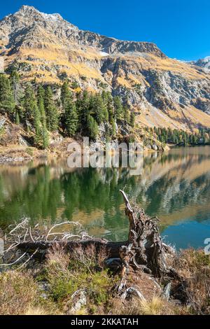 Ruhiger Bergsee 'Lagh da Cavloc' in den Schweizer Alpen an einem sonnigen Herbstnachmittag Stockfoto